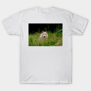 Arctic Wolf T-Shirt